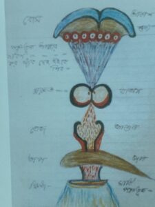 ফানা থেকে বাকা